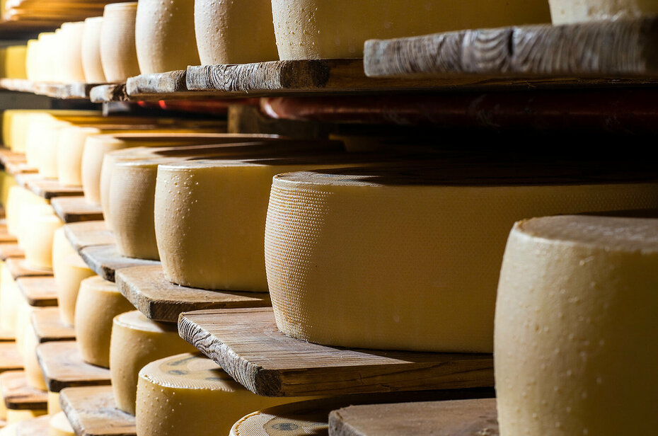 Appenzeller