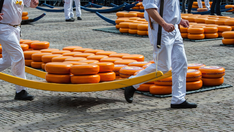 Gouda